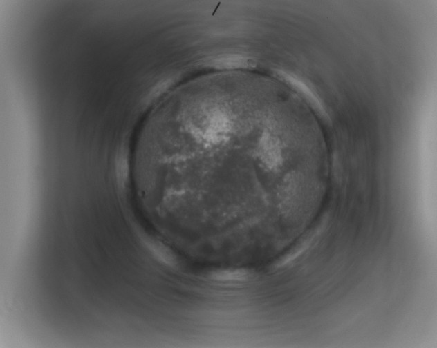 X0000113860202200909241314