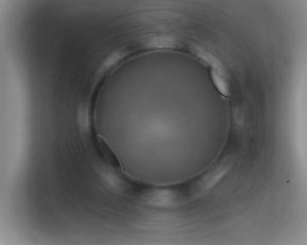 X0000113860203200909241314