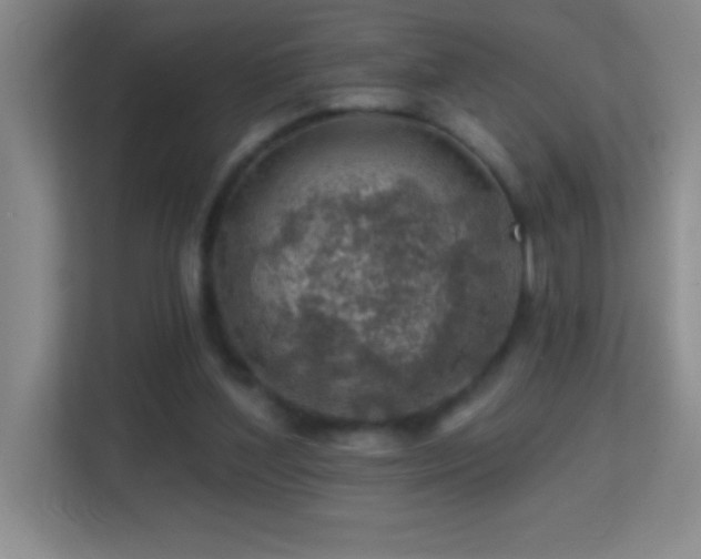 X0000113860204200909241314