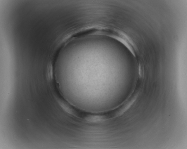 X0000113860205200909241314