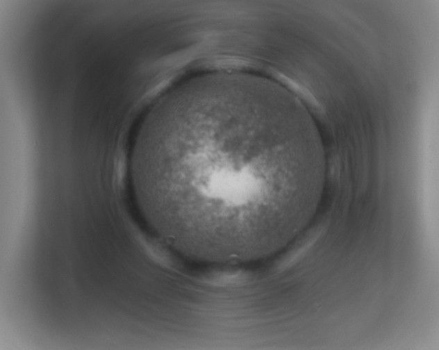 X0000113860206200909241314