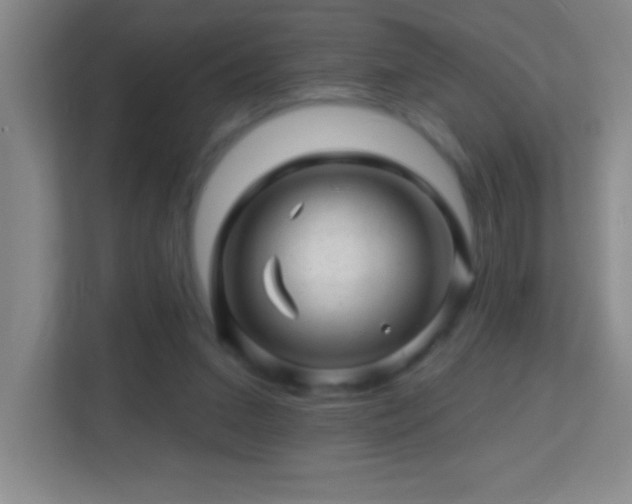 X0000113860207200909241314