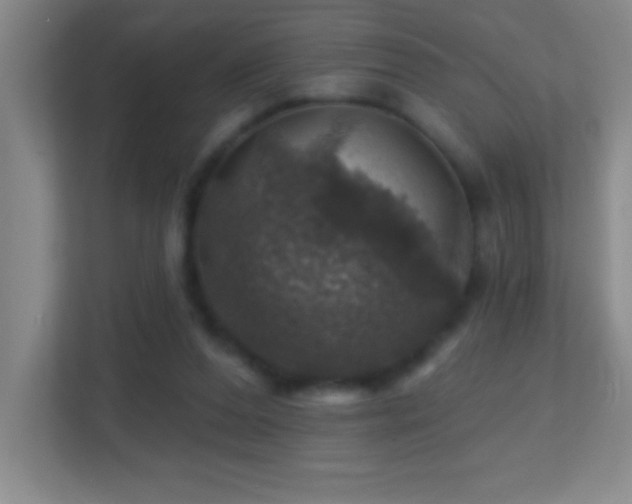 X0000113860208200909241314