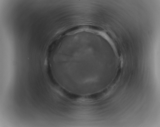 X0000113860211200909241314