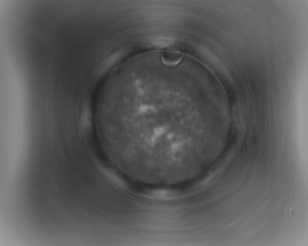 X0000113860212200909241314