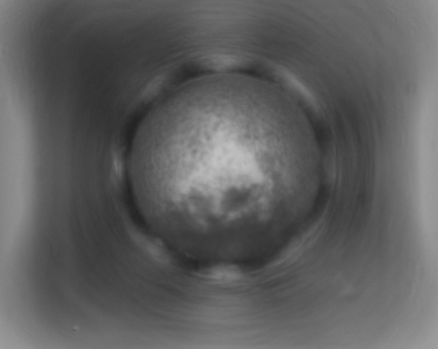 X0000113860214200909241314