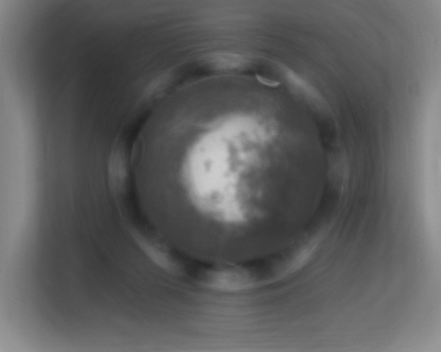 X0000113860215200909241314