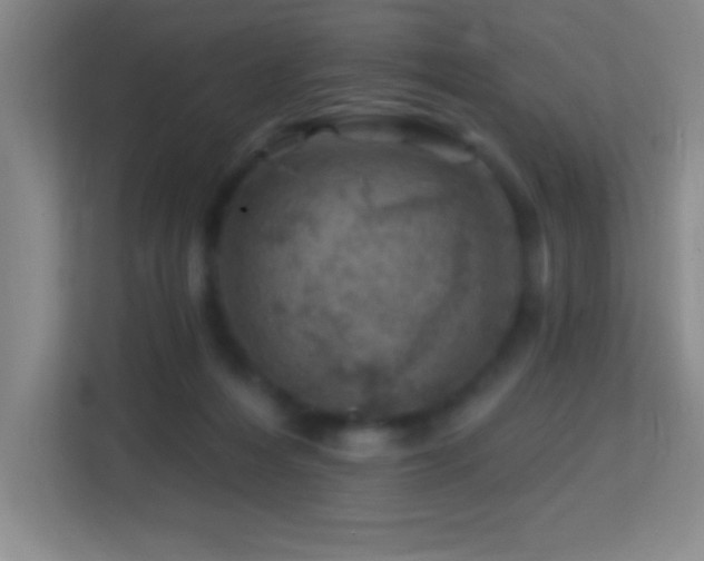 X0000113860216200909241314