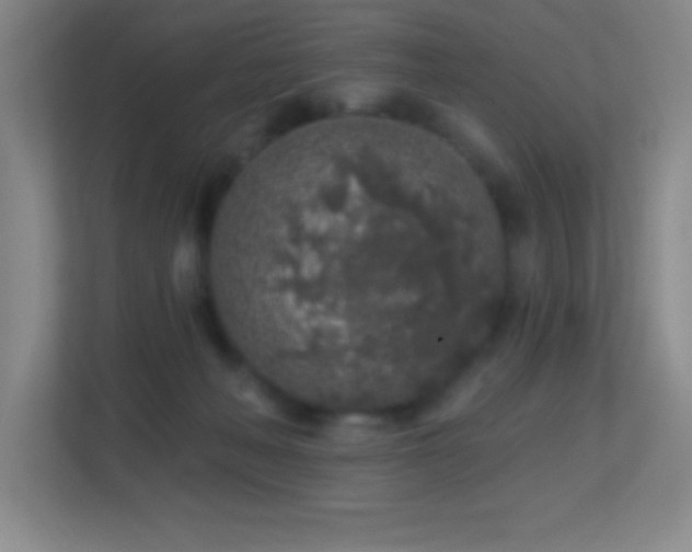 X0000113860222200909241314