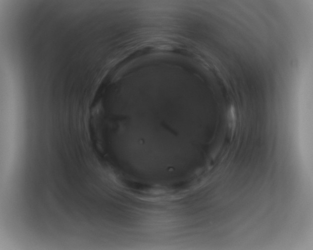 X0000113860223200909241314