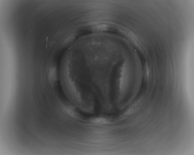 X0000113860224200909241314