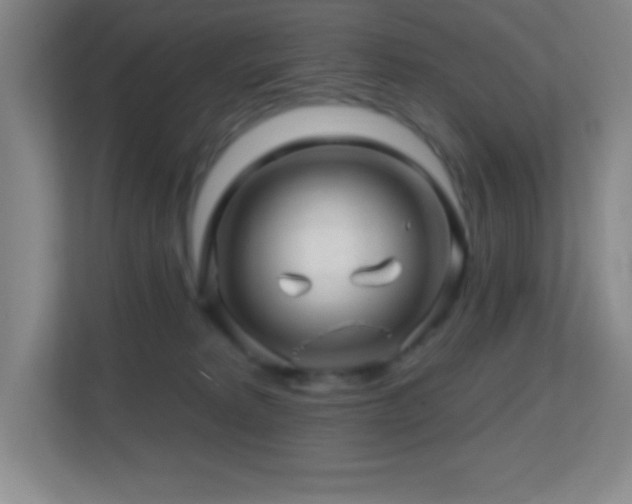 X0000113860229200909241314