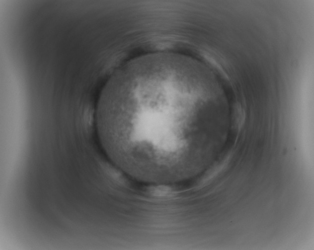 X0000113860230200909241314