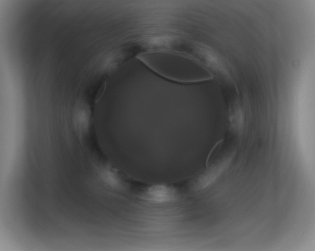 X0000113860231200909241314