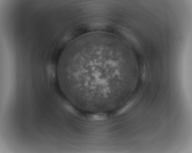 X0000113860232200909241314
