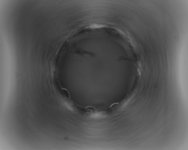 X0000113860235200909241314