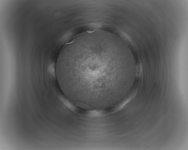 X0000113860238200909241314