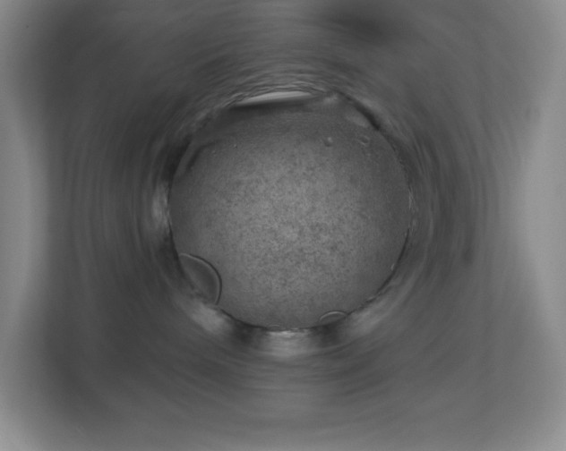 X0000113860240200909241314