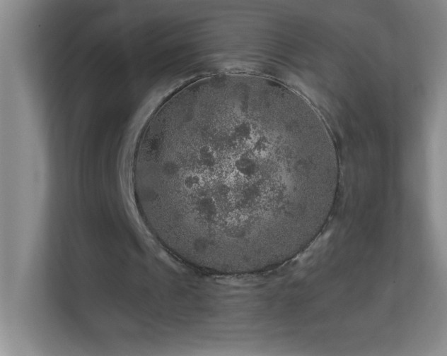 X0000113860241200909241313