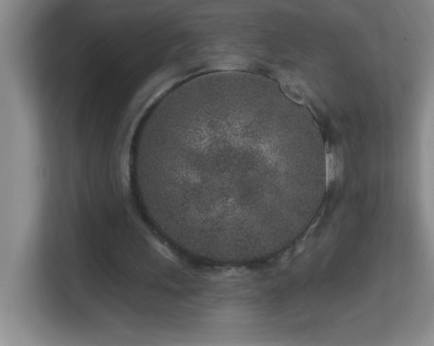 X0000113860243200909241313