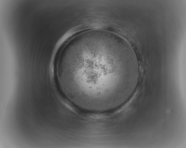 X0000113860246200909241313