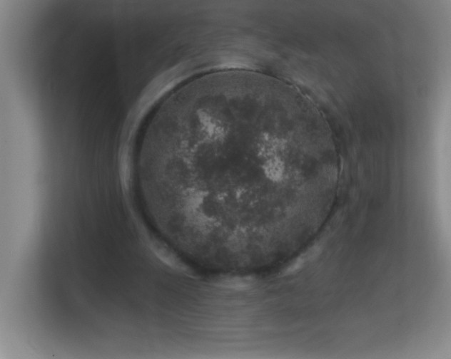 X0000113860247200909241313