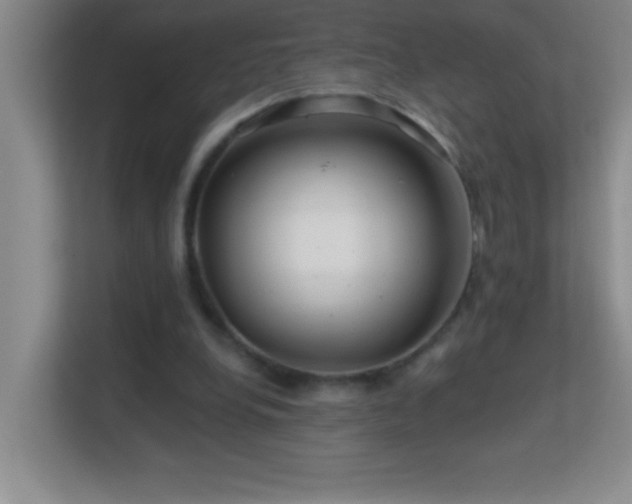 X0000113860248200909241313