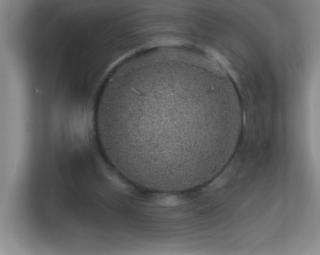 X0000113860249200909241313