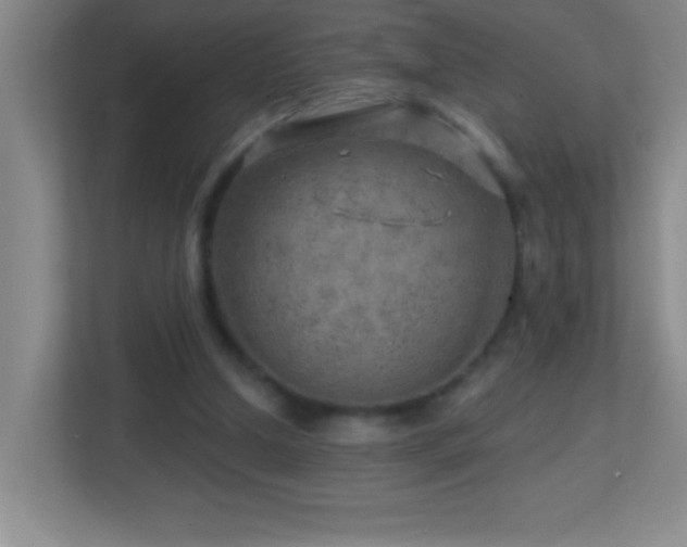 X0000113860250200909241313