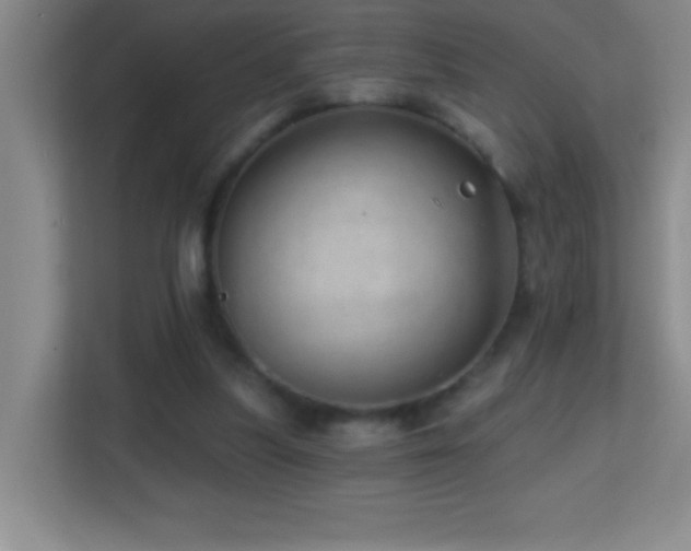 X0000113860251200909241313