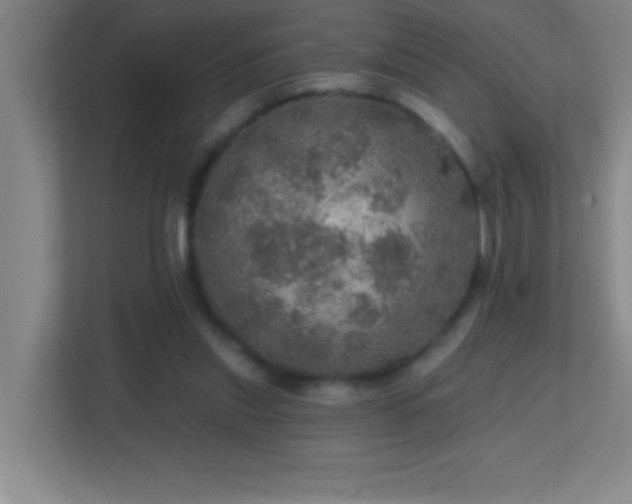 X0000113860253200909241313