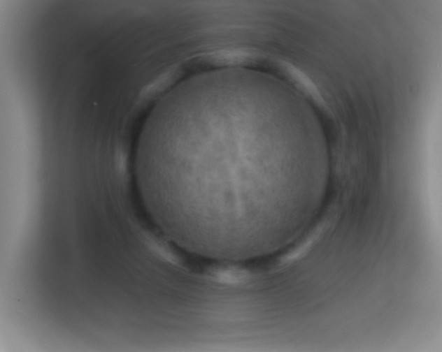 X0000113860258200909241313