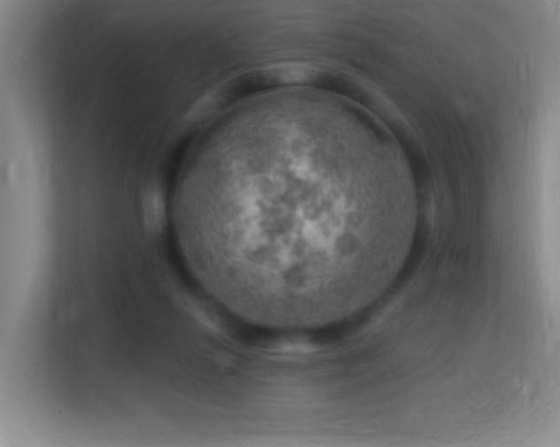 X0000113860262200909241314