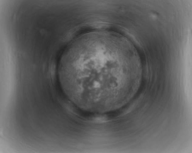 X0000113860263200909241314