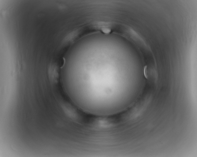 X0000113860264200909241314