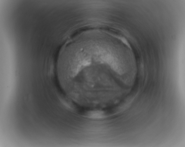 X0000113860266200909241314