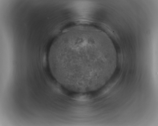X0000113860267200909241314