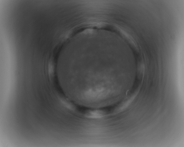 X0000113860268200909241314