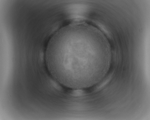 X0000113860269200909241314