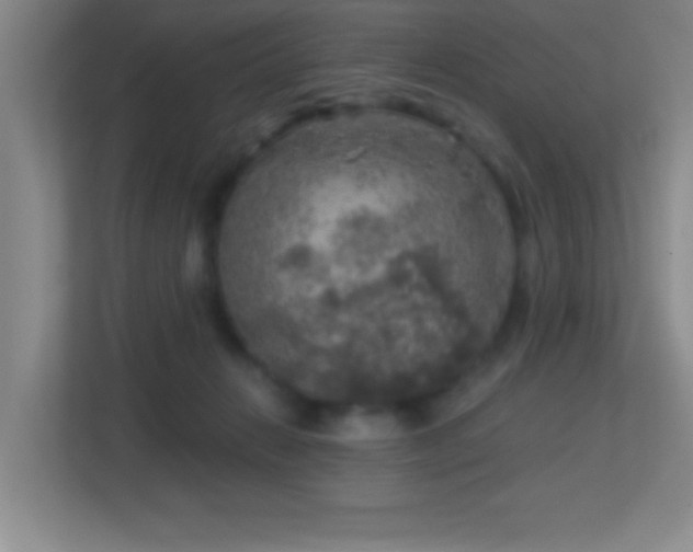 X0000113860270200909241314