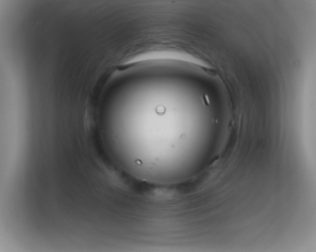 X0000113860272200909241314