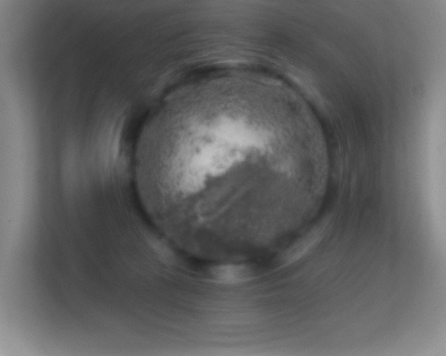 X0000113860273200909241314