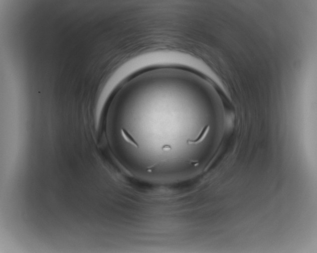 X0000113860276200909241314