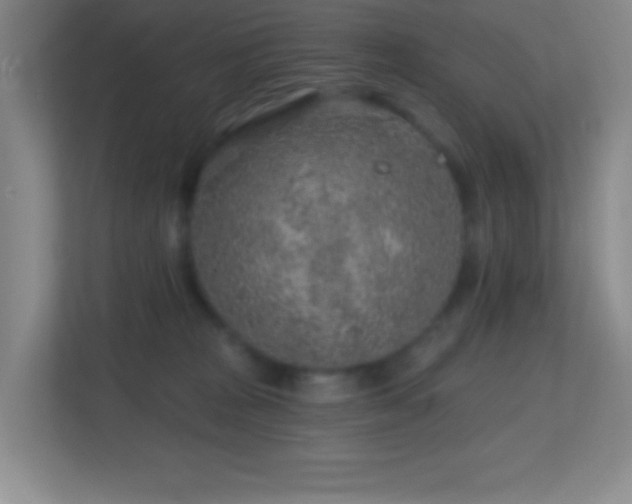 X0000113860277200909241314