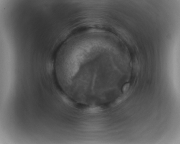 X0000113860278200909241314