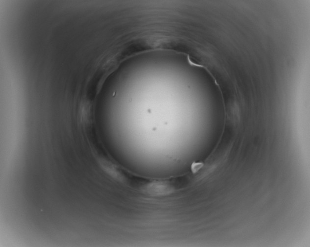 X0000113860280200909241314
