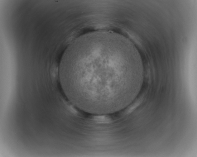 X0000113860281200909241314