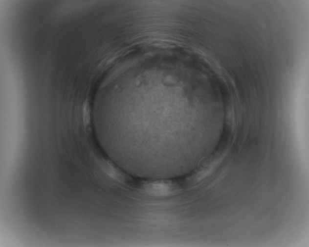 X0000113860282200909241314