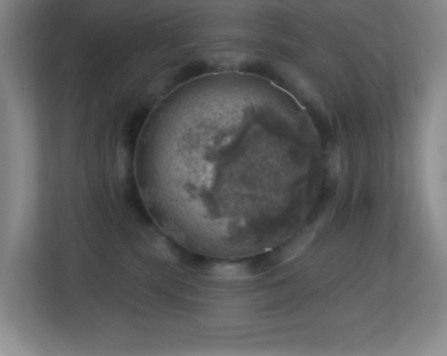 X0000113860283200909241314