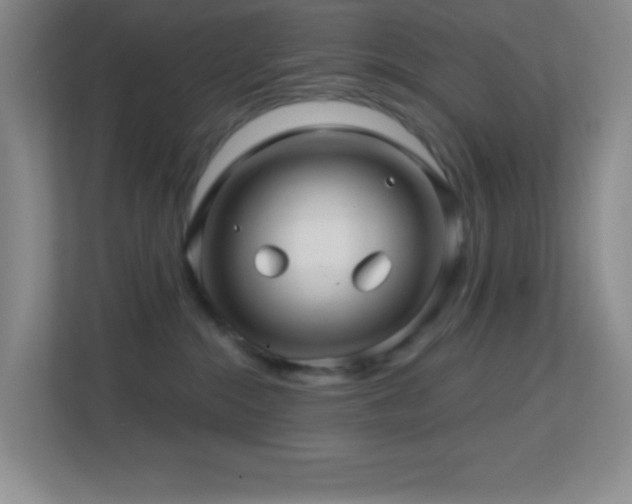 X0000113860284200909241314